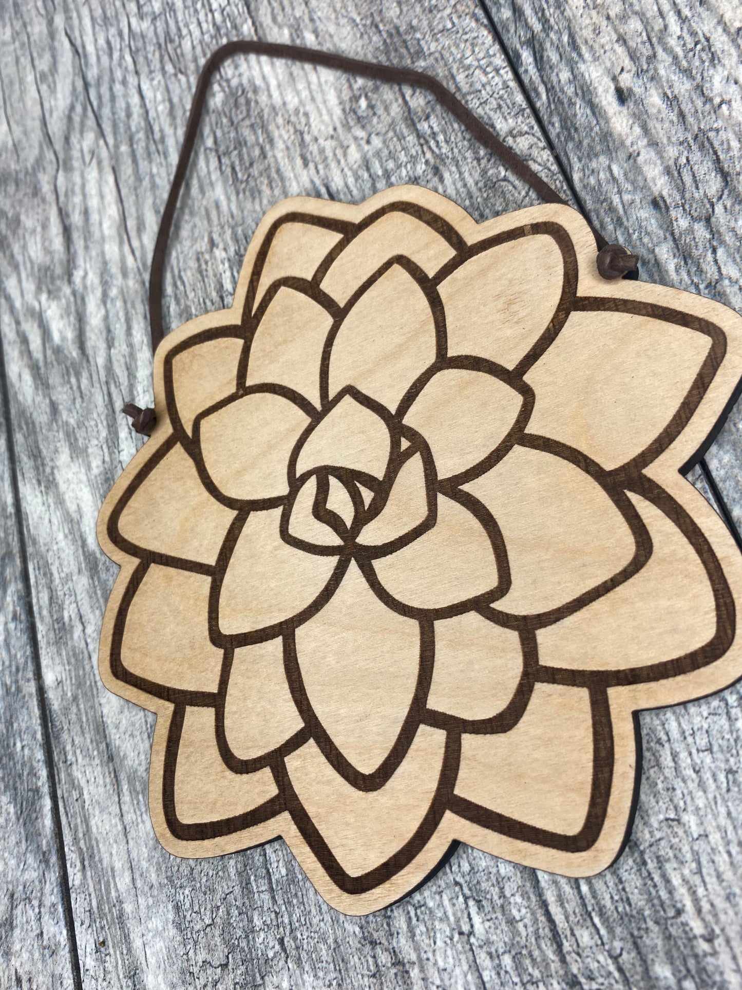 SALE 6” Succulent Wood + Leather